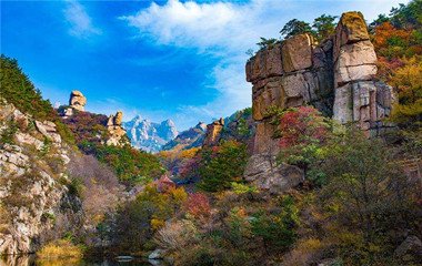 Interesting  Activities  for  Beautiful  Autumn